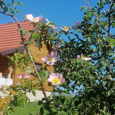 Apartamento Tarin Zov Kaludjerske Bare Exterior foto