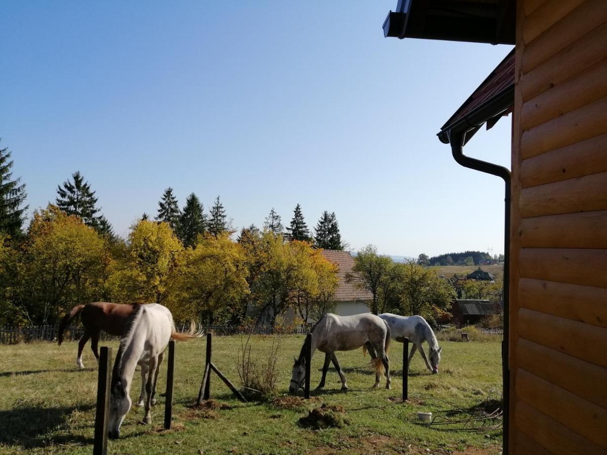 Apartamento Tarin Zov Kaludjerske Bare Exterior foto
